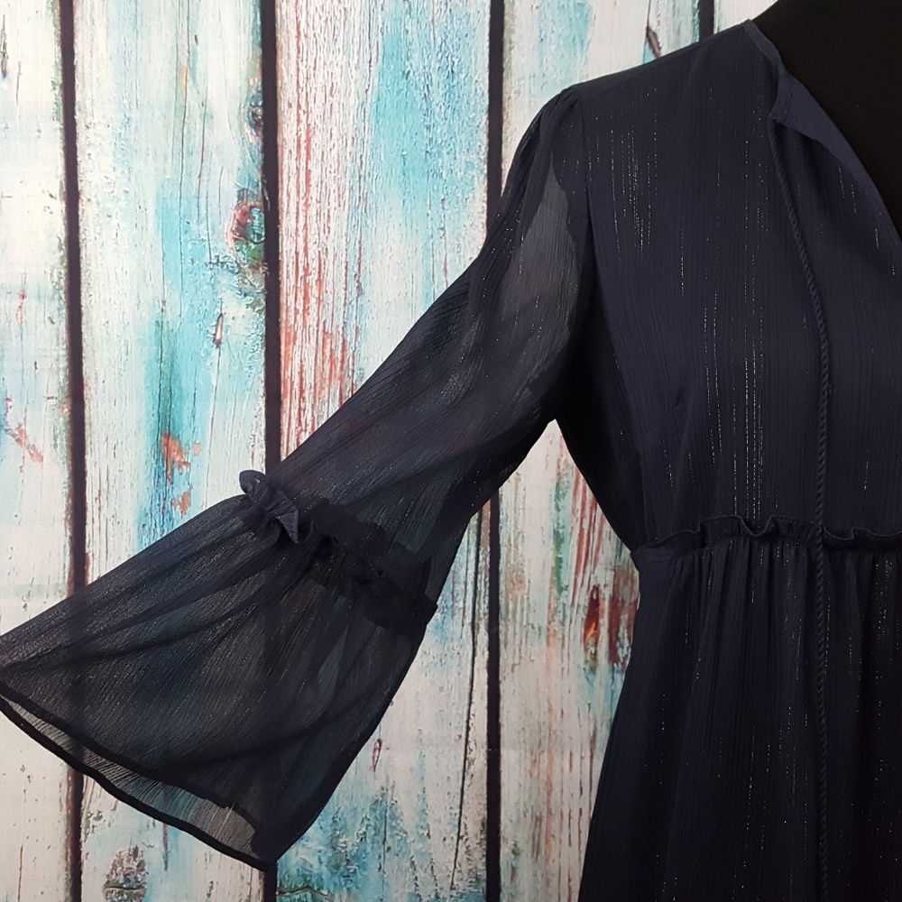 Rachel Zoe Metallic Chiffon Midi A-Line Dress - Picture 4 of 7